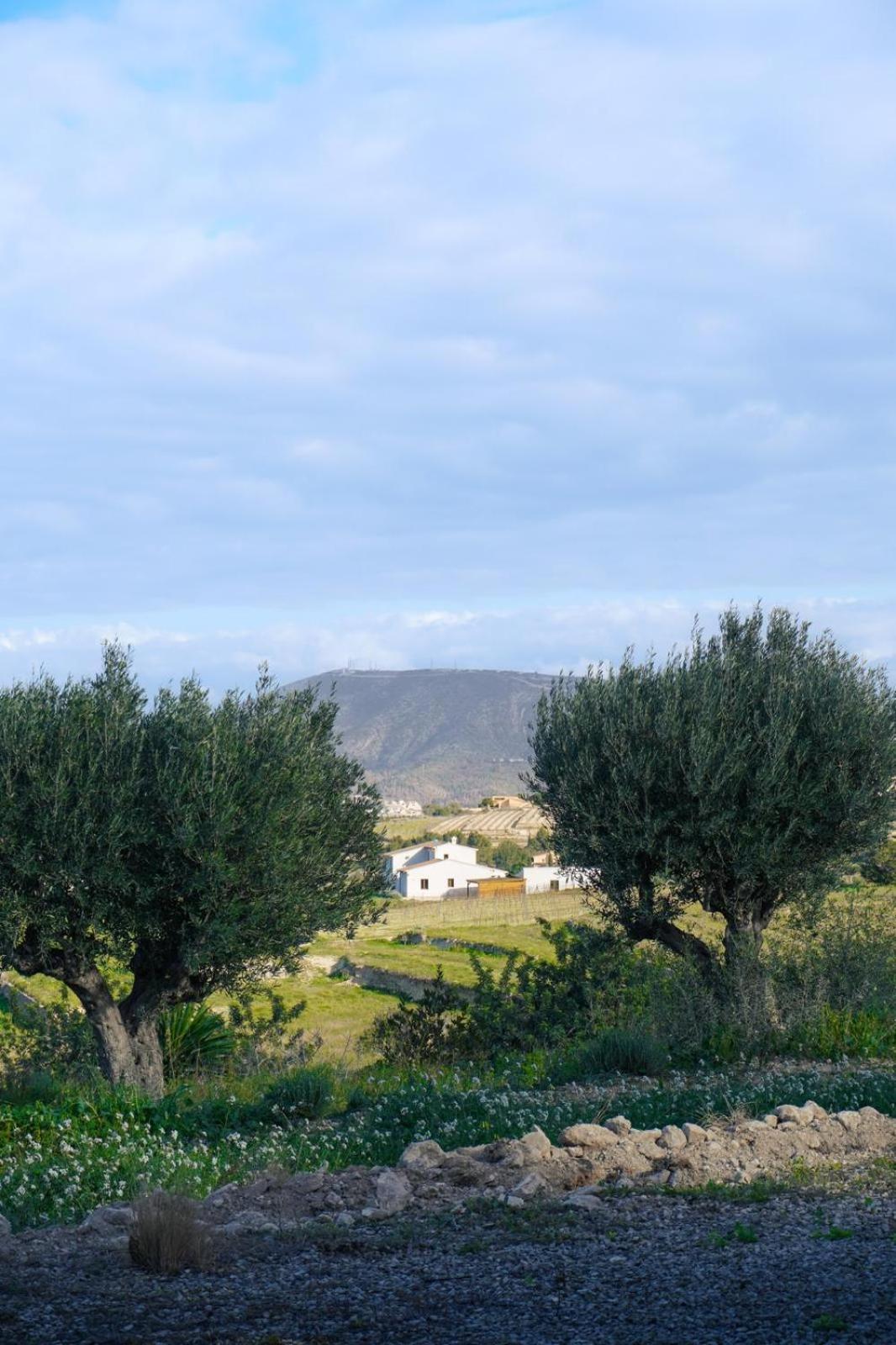 Hotel Finca Olivar Benissa Buitenkant foto