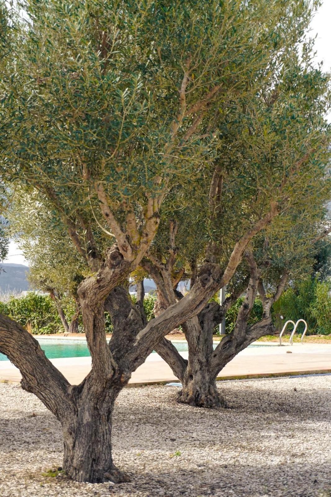 Hotel Finca Olivar Benissa Buitenkant foto