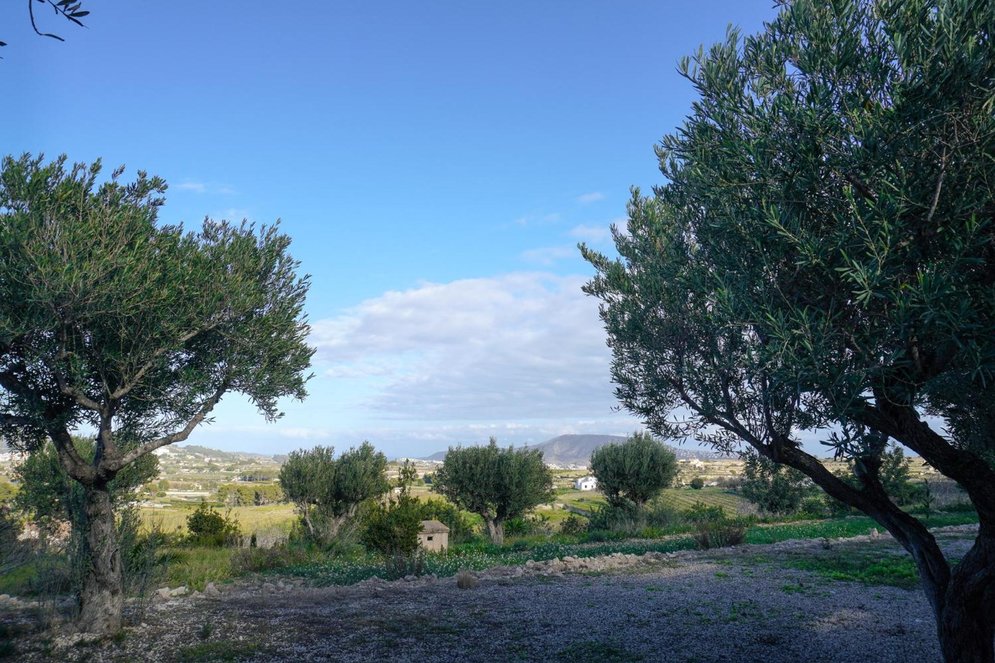 Hotel Finca Olivar Benissa Buitenkant foto